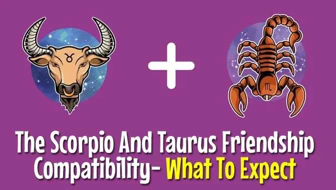 The Scorpio And Taurus Friendship Compatibility 